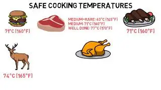 Safe Cooking Temperatures