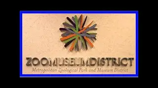 Cyber security audit raises its own security issues as zoo museum district makes push