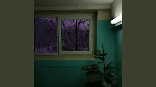Смт.