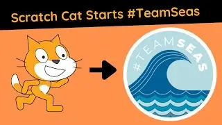 Scratch Cat Starts #TeamSeas