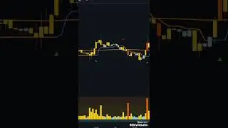 New Indicator Alert! TradingView Test & Review 95% Win Rate!
