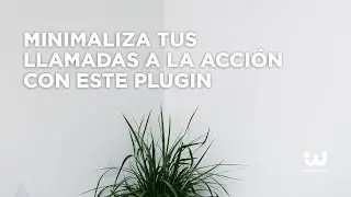 C&oacute;mo mostrar en WordPress el formulario de suscripci&oacute;n a tus boletines