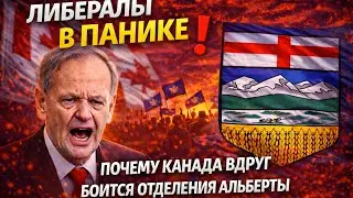 Liberals in Panic: Why Canada Suddenly Fears Alberta's Secession