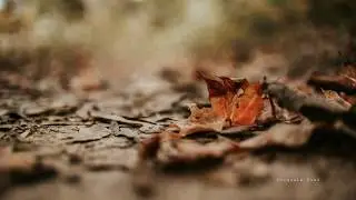 Jeremy Blake Pixelated Autumn Leaves