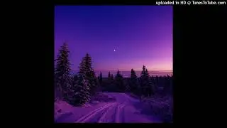 [free!] playboi carti + adturnup type beat &ldquo; midnight blizzard 