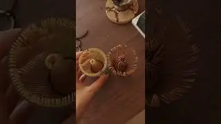 Даже волнительно его расцветать #матча #чай #хобби