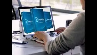 P1 Profits Review and Bonus | P1 Profit Training