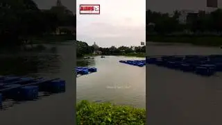 சேத்பேட் சுற்றுச்சூழல் பூங்கா 🌿Chetpet Eco Park 🏞 #chetpet #park #tamilshorts #chennai #boating
