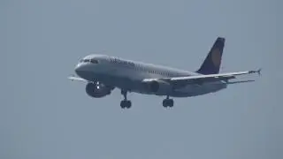 Spotting at Nice : Airbus A320-211 Lufthansa D-AIPF