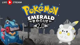 Rebuilding Run 2 Team After Burial Gym 1 | Pok&eacute;mon Emerald Rogue 2.0