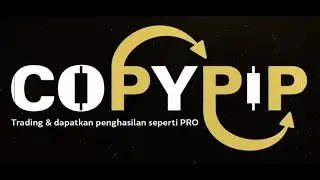 CopyPip, platform perdagangan salinan terbaik