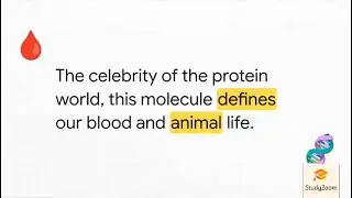 Lecture 08: Metalloproteins &ndash; An Overview- Definition and classification- Structural vs functional