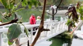 BC Marine Parks - The Great Ranger Experience