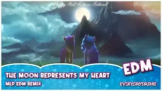 EveryDayDashie - The Moon Represents My Heart 月亮代表我的心 (MLP EDM Remix)
