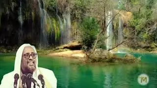 Sh.Cumar Faaruuq: Tafsiir. Ahlul-janaha.