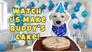 Easy Dog Birthday Cake Recipe for Your Pup's Special Day