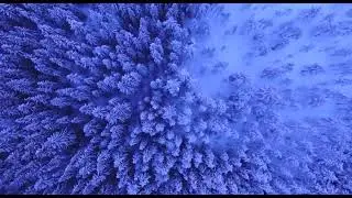 video 2022 04 13 17 16 00