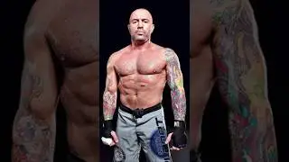 GSP On Rogan's Big Kicks