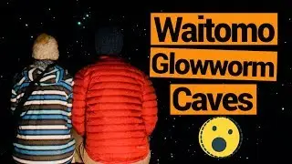 ✨🐛 Waitomo Glowworm Caves  - New Zealand's Biggest Gap Year &ndash; Backpacker Guide New Zealand