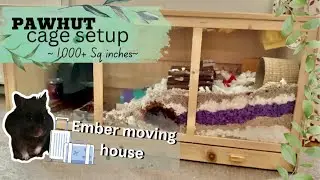 Setting up the PAWHUT cage + Ember moves in! 🐹✨