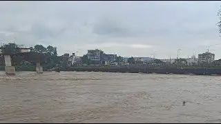 High Alert ⛑️‼️🤯 Flood in Jamshedpur Jharkhand Water level Red Alert #emergency #viral