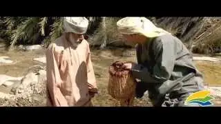 برنامج القفّار الحلقة 3 ولاية دماء والطائيين - المخرج بدرالمعشري
