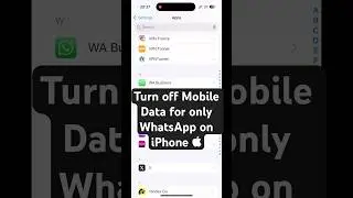 How to Turn off Mobile Data for only WhatsApp on iPhone or iPad  #WhatsApp #MobileData #iPhone