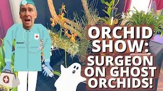 ORCHID Show: INTERVIEW with a SURGEON on Growing Orchids
