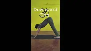 Start Your Yoga #YogaForBeginners #YogaJourney #YogaAtHome #SimpleYoga  #yogapractice #shorts