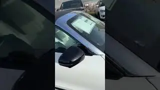 Louis Vuitton среди автомобилей!