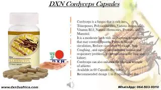 DXN Cordyceps