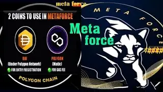 Meta force full plan non working working income 2 Coin use in meta force Dai & Polygon