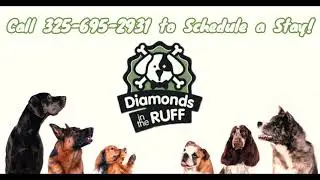 Diamonds in the Ruff Pet Resort and Salon in Abilene, TX | Dogs and Cat Boarding