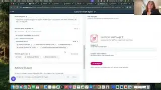 Customer Health Agent (HubSpot) demo