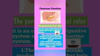 Function of Pancreas@FreeMedicalEducation-ld3sf#viralshortsvideo#nursing#medical#mbbs#youtubeviral