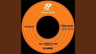 All I Want Is You