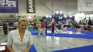 VIDEO0119