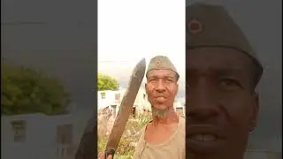 clean up operations at India community