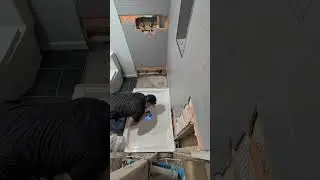 This is why plumbers charge so much #plumbing #shower #renovation