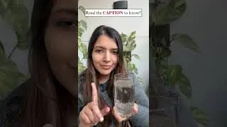 The Truth About Chia Seeds...❌