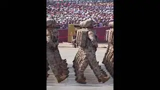 They walk like robots. So even and beautiful  #chinamilitary #militaryparade