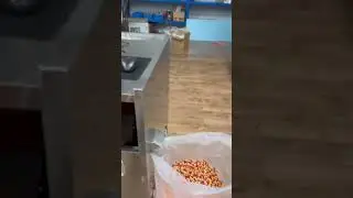 Factory Supply Automatic Visual Hard Drug Capsule Inspection Machine