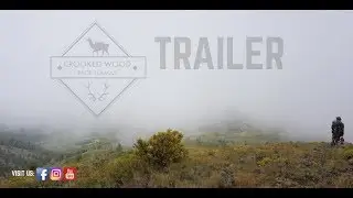 Crooked Wood Pack Llamas | Trailer