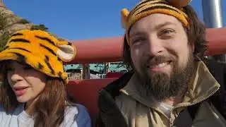 Más de 24 horas despierto para poder ir a Disney Sea en Japón