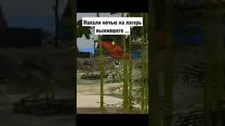 Напали ночью на лагерь выжившего... The Sims Castaway