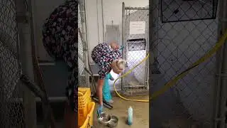 Accidental thong slip while cleaning