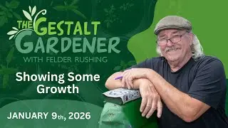The Gestalt Gardener - January 9, 2026 - Showing Some Growth