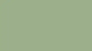 Sage Green Color Screen [10 Hours]
