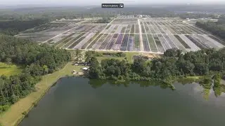 Harvesting and processing algae for sustainable fertilizer in Havana, Florida