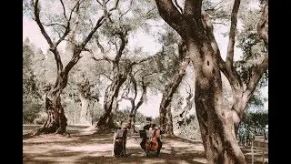 A Fall Wedding into an Ancient Olive Grove on Corfu island!